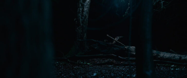 Hallow Road (2025)