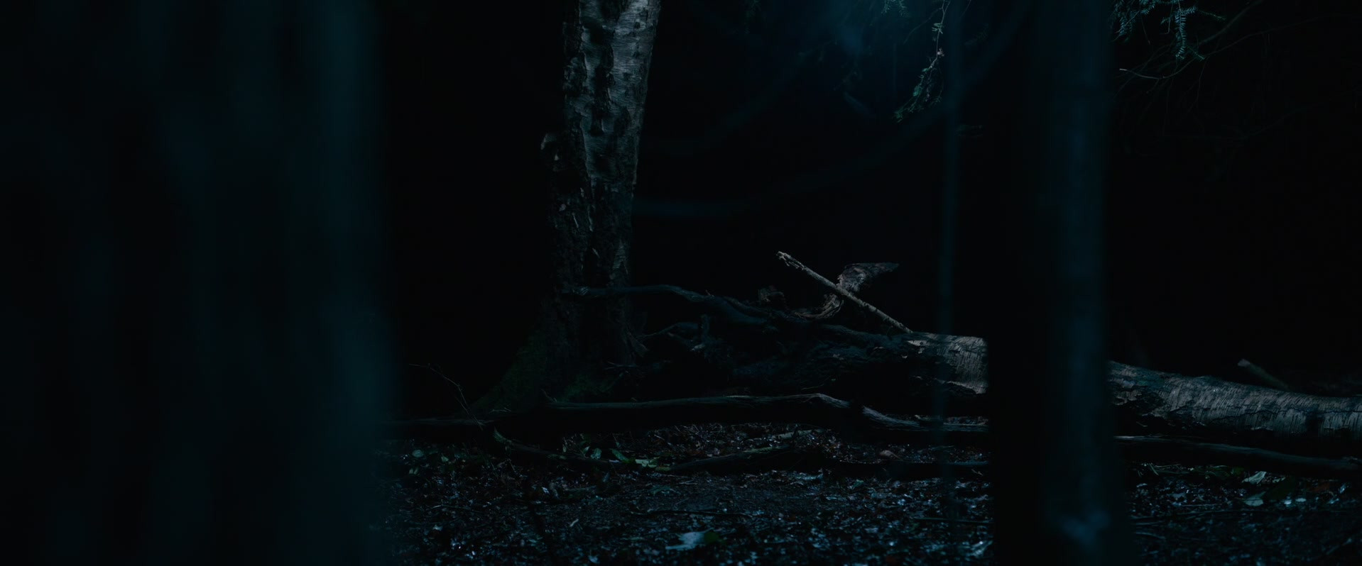 Hallow Road (2025)