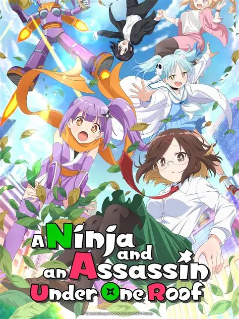 A Ninja and an Assassin Under One Roof (2025)